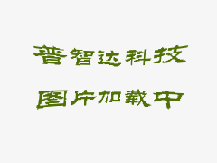 核心團隊